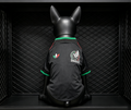 Mexico World Cup 2026 Third Pet Jersey
