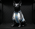 Argentina World Cup 2026 Home Pet Jersey