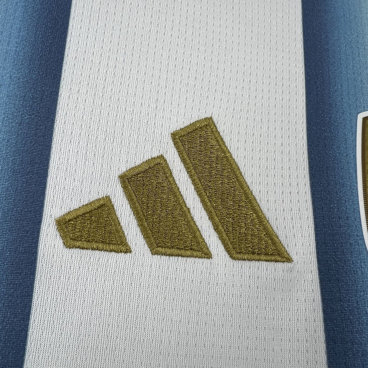 Argentina World Cup 2026 Home Jersey Fan Version