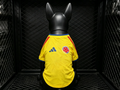 Colombia World Cup  2026 Home Pet Jersey