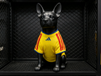 Colombia World Cup  2026 Home Pet Jersey