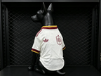 Spain World Cup 2026 Away Pet Jersey