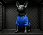 Brazil World Cup 2026 Away Pet Jersey