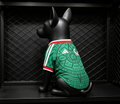 Mexico World Cup 2026 Home Pet Jersey