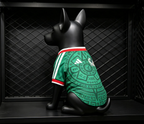 Mexico World Cup 2026 Home Pet Jersey